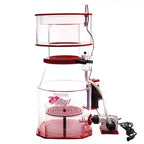 Regal 300INT 12″  Protein Skimmer (Varios) - Reef Octopus