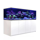 REEFER S-550 G2+ - Red Sea - Red Sea