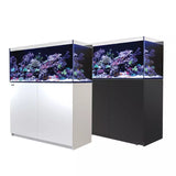 REEFER XL 425 G2+ - Red Sea - Red Sea