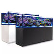 REEFER 3XL 900 G2+ - Red Sea - Red Sea