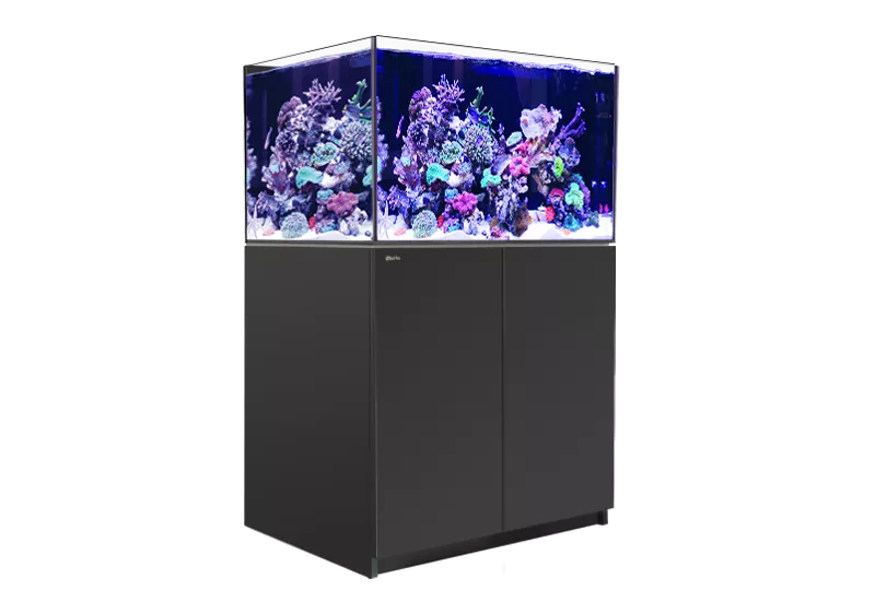 REEFER XL 300 G2+ - Red Sea - Red Sea