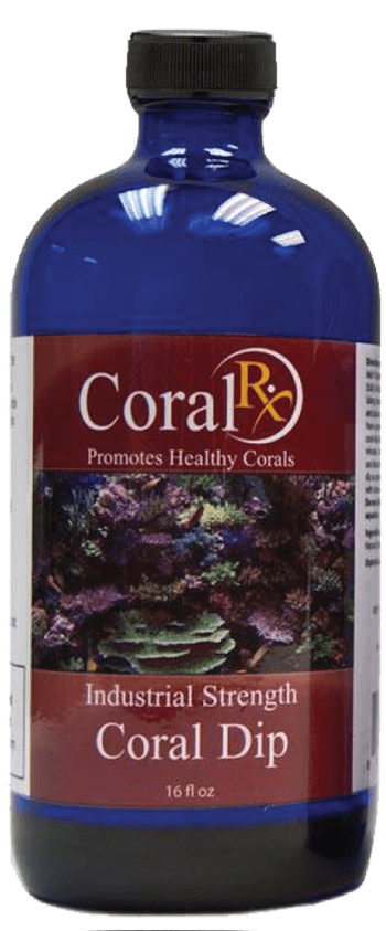 Industrial Strength Coral Dip - 8oz - Coral RX - Coral RX