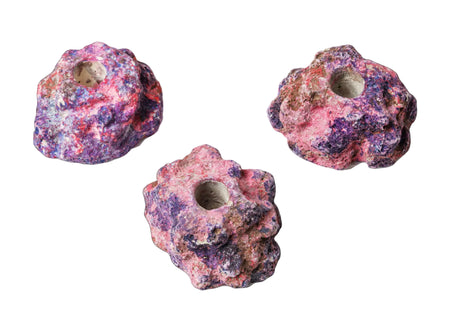 EcoRock Frag Plug Holders (Single) - Ecoquaria