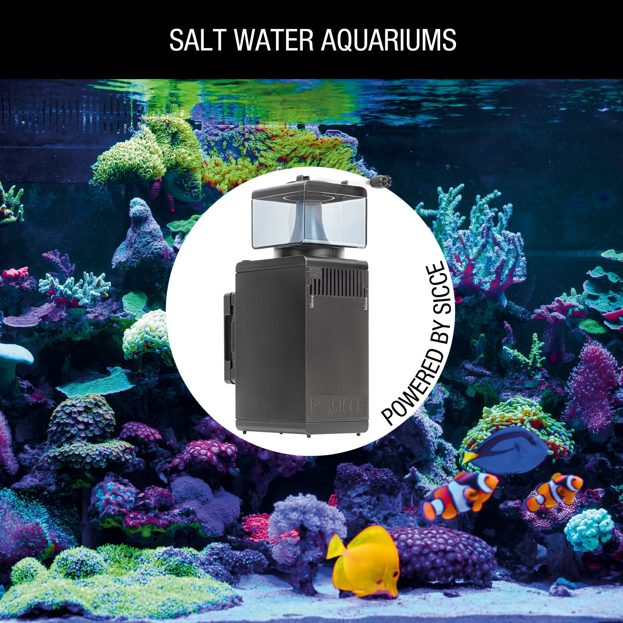 Shark Skimmer 300 Internal Filter - Sicce – Top Shelf Aquatics