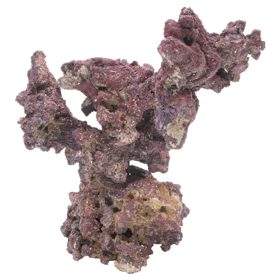 Purple Life Rock Nano Tree - CaribSea