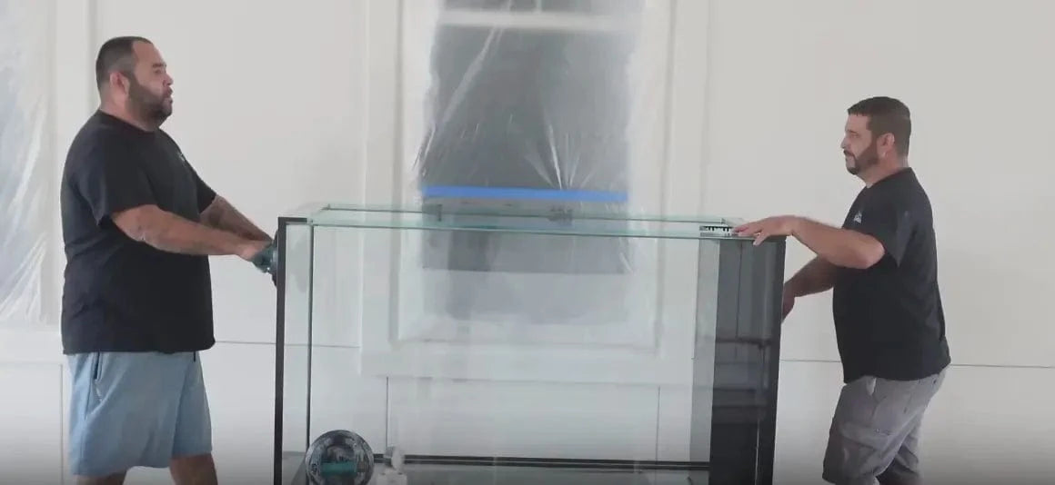 Professional fish tank installers carrying a glass aquarium into position