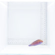 Beau's Fairy Wrasse Fish