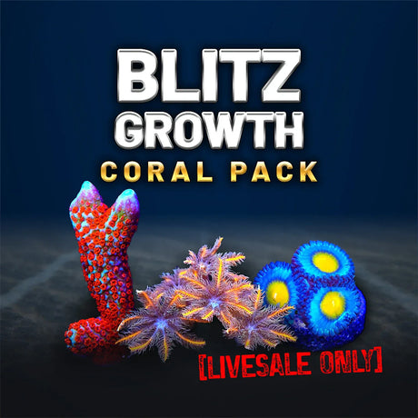 Blitz Growth Coral Frag Pack
