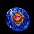 CC Flaming Brohican Zoanthids Coral