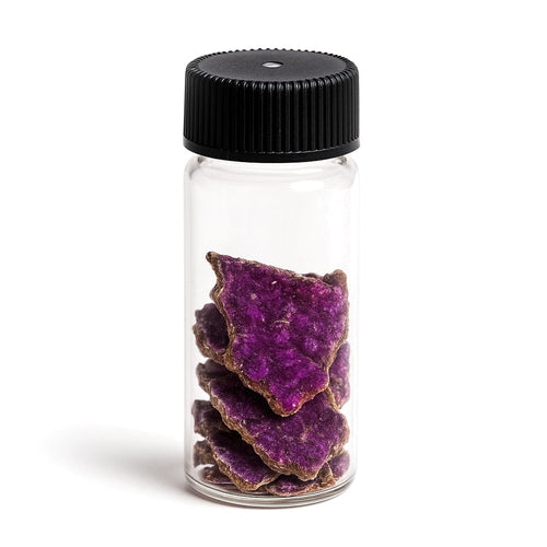 Coralline Algae