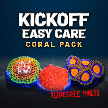 Kickoff Easy Care Coral Frag Pack