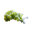 Lettuce Nudibranch