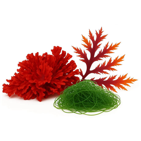 Macroalgae Trifecta
