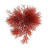 Macroalgae Trifecta