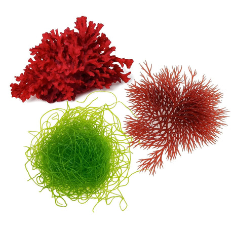 Macroalgae Trifecta