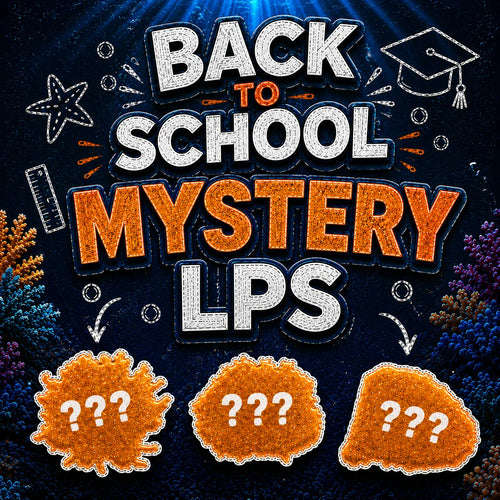 Mystery LPS Coral