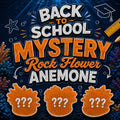 Mystery Rock Anemones
