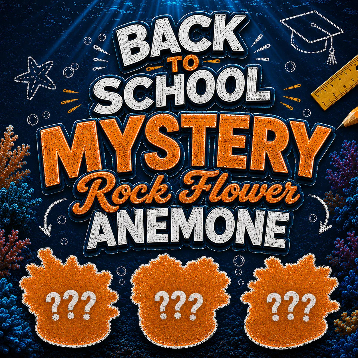Mystery Rock Anemones
