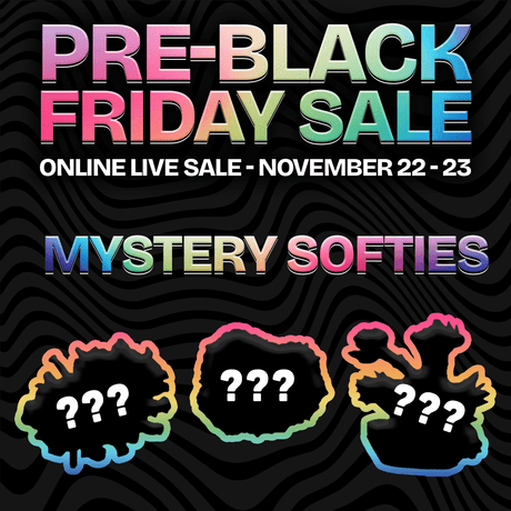 Mystery Softie Coral