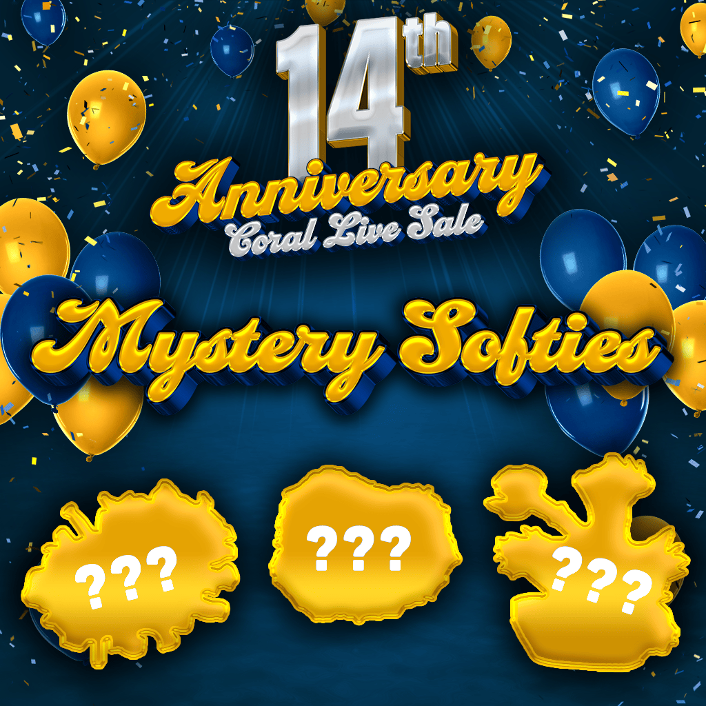 Mystery Softie Coral