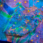Stained Glass Chalice Coral