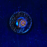 Stratosphere Zoanthid Coral