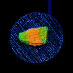 TSA Citrus Blast Grafted Lithophyllon Coral