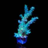 TSA Mint Finger Leather Coral