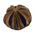 Tuxedo Urchin – Mespilia globulus