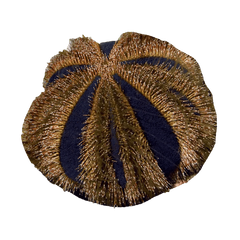 Tuxedo Urchin – Mespilia globulus