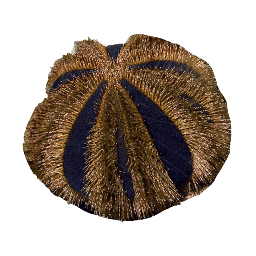 Tuxedo Urchin – Mespilia globulus