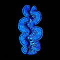 Ultra Maxima Clam 1.75 - 2.5"