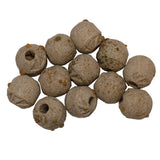 Wild Reef Pre-Seeded Bio Media
