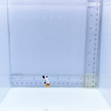 Wyoming White Clownfish