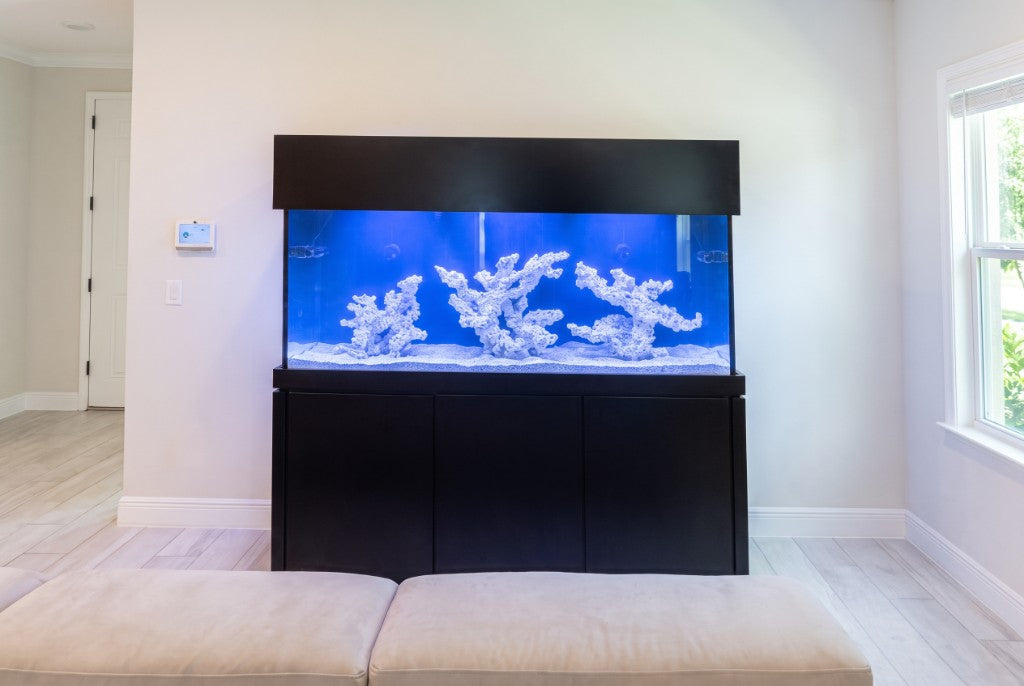 Custom marine aquarium on black cabinetry in a residential living room