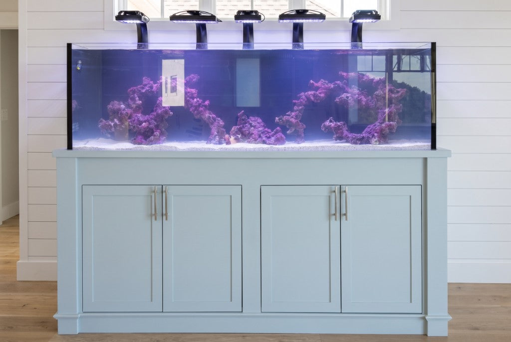 Wide custom aquarium with blue cabinetry and a sculpted coral reef insert