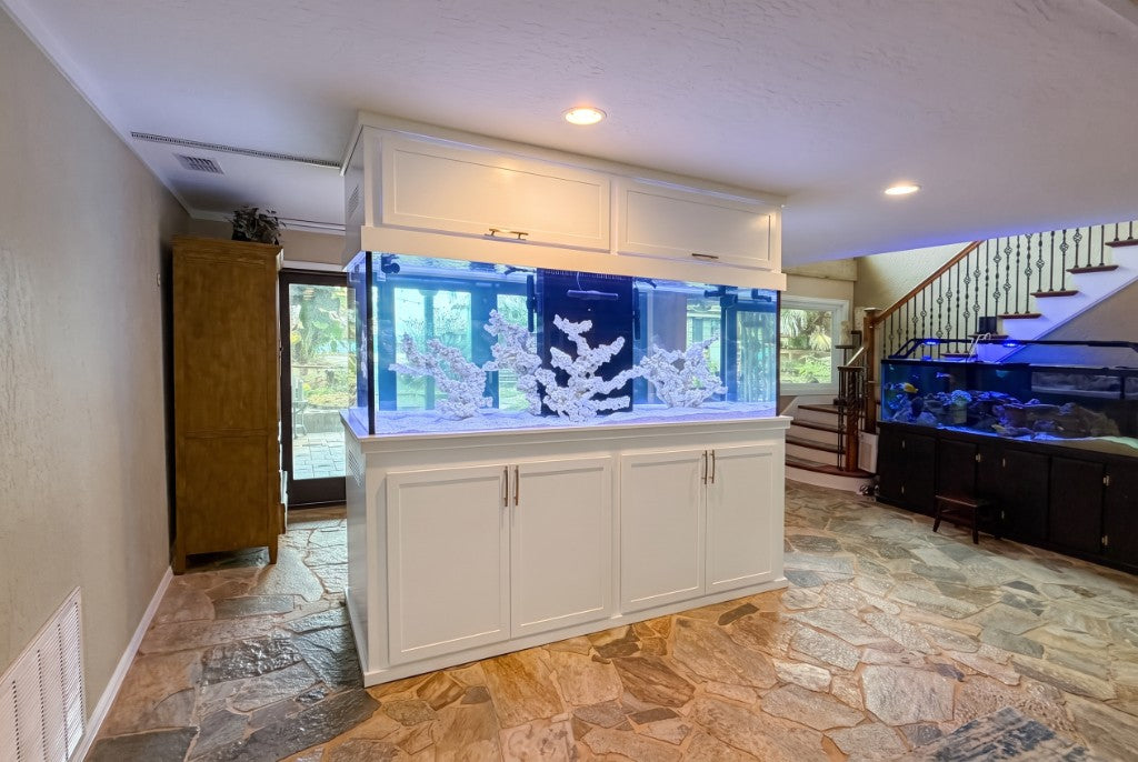 White peninsula aquarium installation designed as a room divider