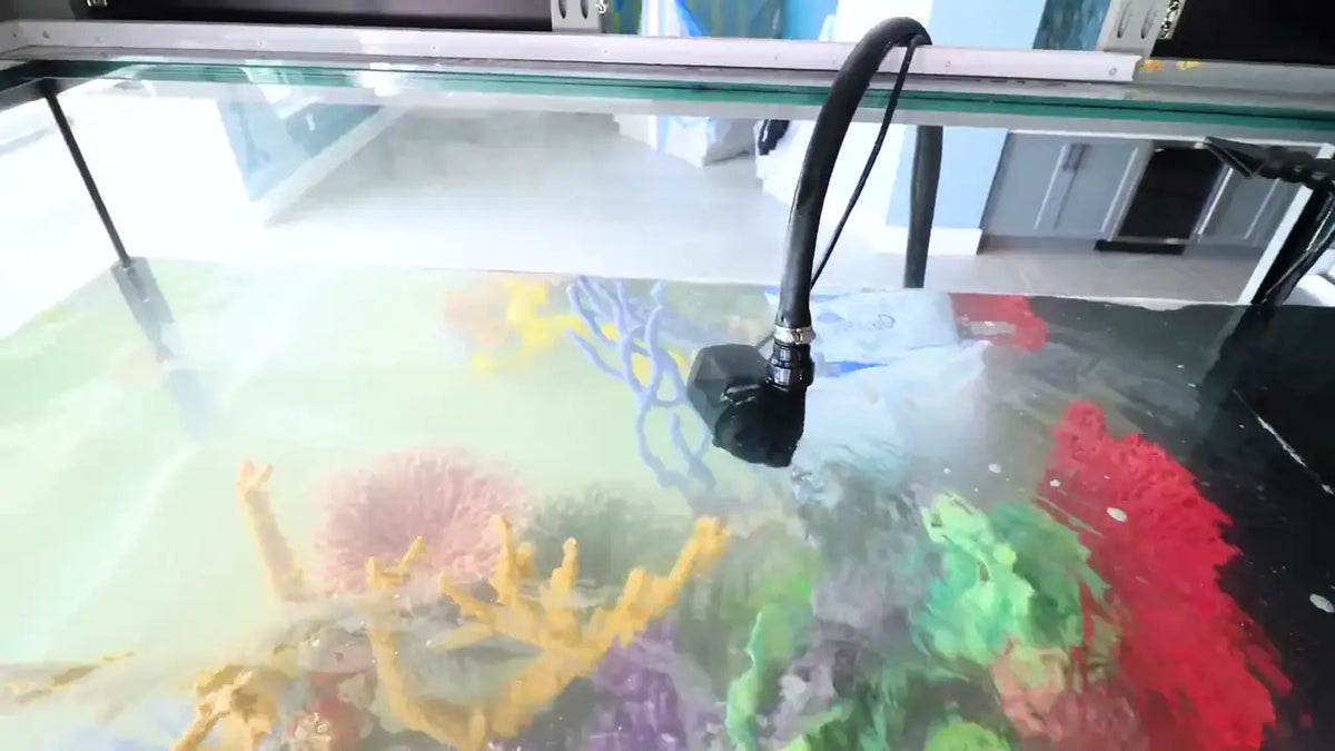 Custom reef aquarium progressing from an empty room to a stocked display