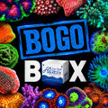Coral BOGO Box