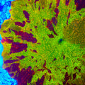 Morning Star Jawbreaker Mushroom Coral