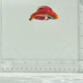 Blue Throat Fairy Wrasse