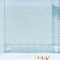 Dracula Goby Fish