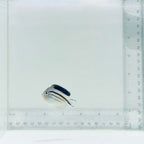 Female Lamarck Angelfish