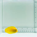Mimic Lemonpeel Tang