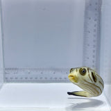 Narrow Lined Pufferfish — Arothron manilensis