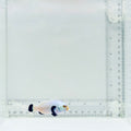 Platinum Percula Clownfish