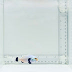 Platinum Percula Clownfish