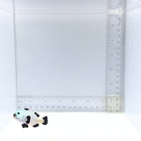 Snow Storm Clownfish — Amphiprion ocellaris