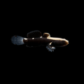 White Cap Goby - Lotilia graciliosa