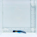 Yellow Patch Cleaner Wrasse
